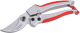 Zhradn nonice